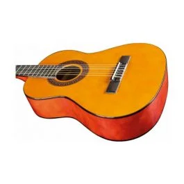 Eko Guitars cs-5 natural