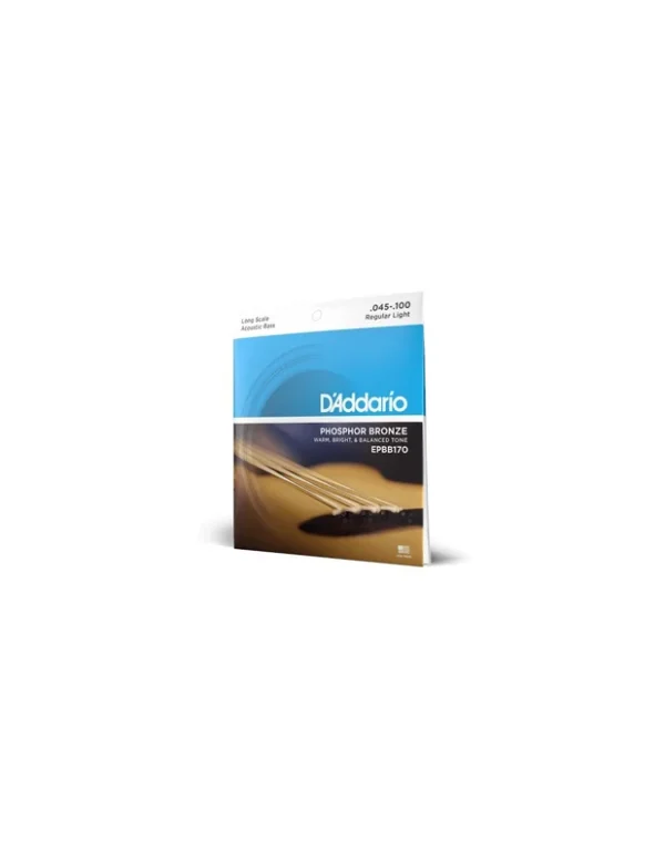 D’Addario EPBB170 Phosphor Bronze Acoustic Bass, Long Scale, 45-100