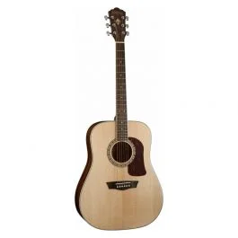 Washburn d10 s