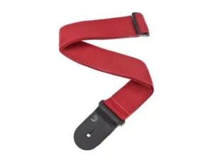 D’ADDARIO PWS101