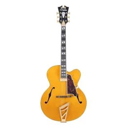 Chitarra Semiacustica D’Angelico Excel EXL1 amber con custodia