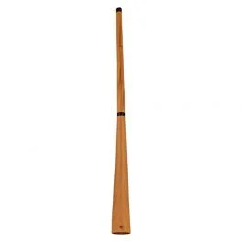 Meinl Sonic Energy ddprofntd