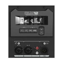 Mackie dlm12