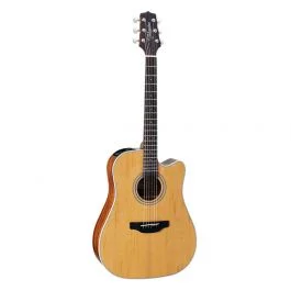 Takamine dreadnought ctw elet g series