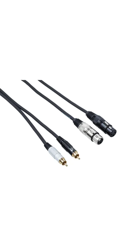 BESPECO EAY2F2R300 CAVO 2 CANNON XLR FEMMINA/ 2 RCA LUNGHEZZA 3 MT EAY2F2R-300