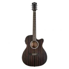 Washburn ebony ace