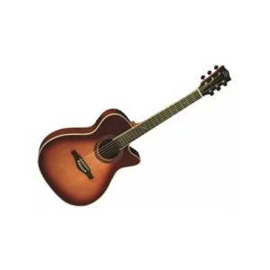 Eko One A150ce Vintage Burst