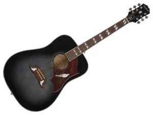 EPIPHONE Dove Studio Ebony