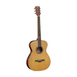 Eko Guitars evo a350e baritone