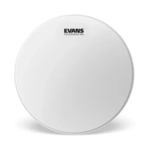 EVANS 14″ G12 CTD WHT