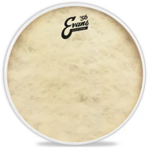 PELLE EVANS CALFTONE 12″ TT13C7