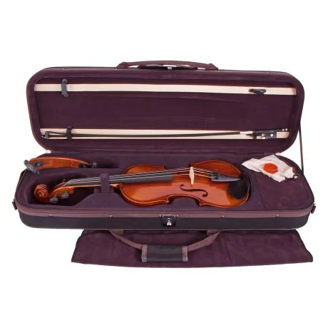 ARTINO Premium violin set