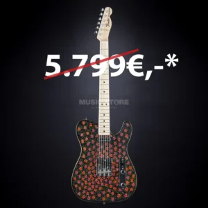 Fender 1968 Paisley Tele NAMM ’15 Art by Sarah Gallenberger