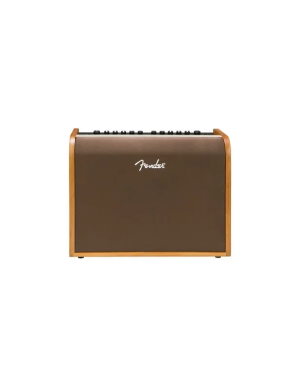 Fender Acoustic 100, 230V Eur