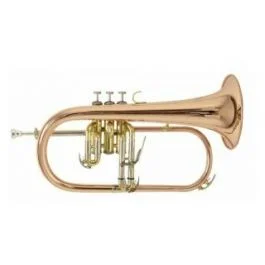 Bach fh-501 flicorno soprano sib