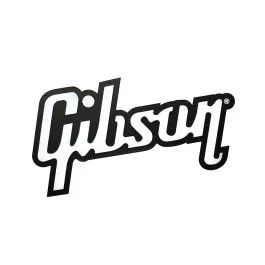 Display led con logo Gibson 30″