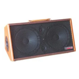 Audio Design Pro gipsy 2×8 diffusore a batteria per chitarra e voce