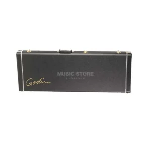 Godin Case Session