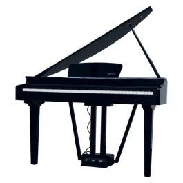 ECHORD gp-10b gran piano