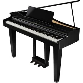 Roland GP-3-PE coda nero lucido