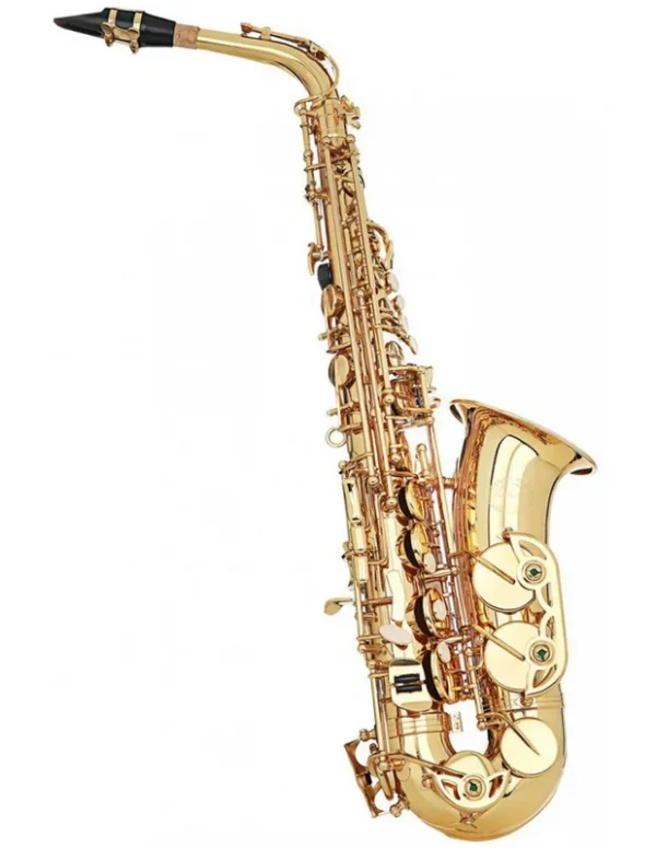 Grassi Sal700