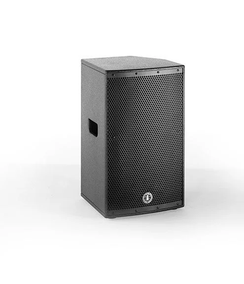 ANT GREENHEAD 10 CASSA AMPLIFICATA ATTIVA WOOFER DA 10 1000W