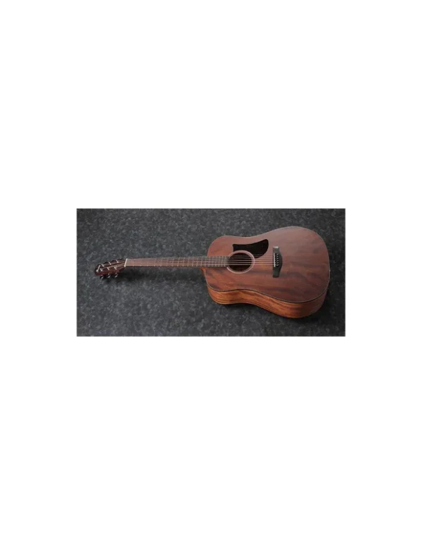 Ibanez AAD140OPN