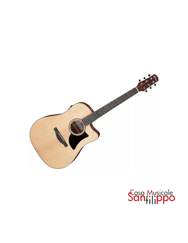 Ibanez AAD50CELG Natural