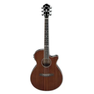 Ibanez AEG12II-NMH