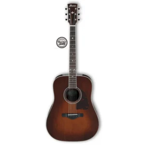 Ibanez AVD10-BVS