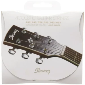 Ibanez IACS6C Acoustic Guitar 12-53
