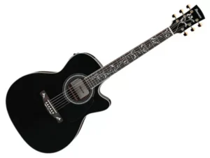 IBANEZ AC391RCE-BKH