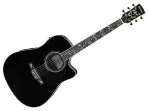 IBANEZ AW391RCE-BKH