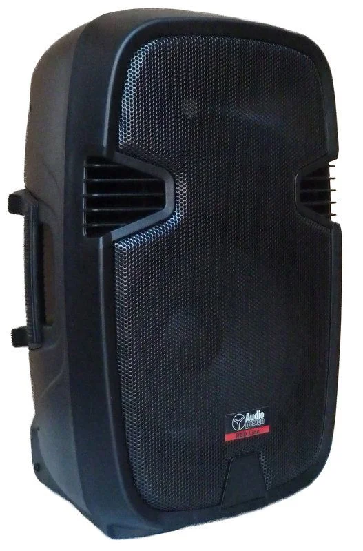 AUDIODESIGN PRO PAX1 12USB CASSA AMPLIFICATA DIFFUSORE ATTIVO CON INGRESSO USB/SD – Radio FM