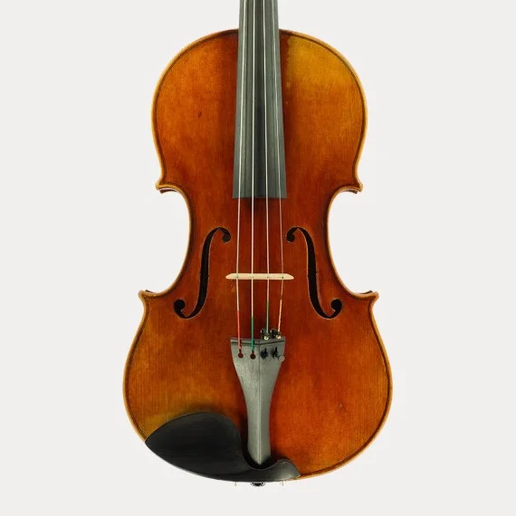 JAY HAIDE VIOLA ANTICATA