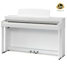 Kawai CN301