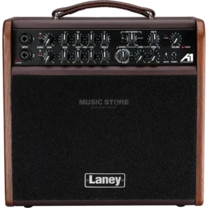 Laney A1