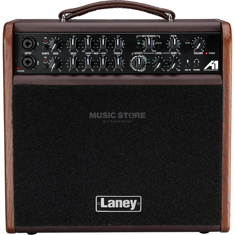 Laney A1