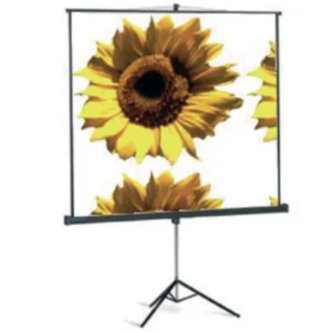 lightmaXX Projection Screen on Tripod 200 x 150 cm 100″ / 4:3
