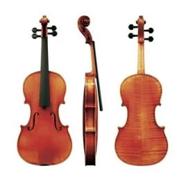 Gewa maestro 46 con set-up