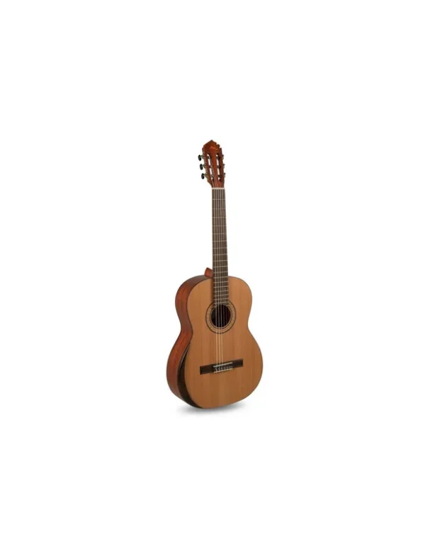 Manuel Rodriguez T-65 4/4 Tradicion