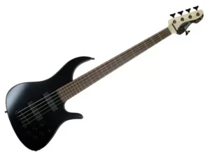 MARKBASS Gloxy Black Panther 5 BK RW