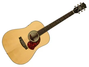 MATON Master Built Dreadnought