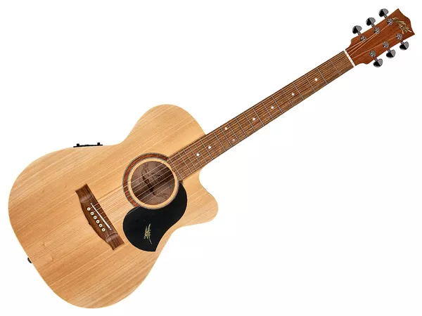 MATON The Performer