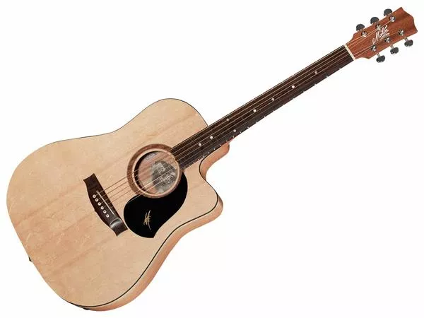 MATON SRS60C