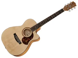 MATON SRS808C