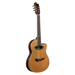 Eko Guitars mia n400ce