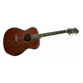 Hagstrom mora ii concert nat