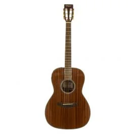 Takamine new yorker elet g selected series