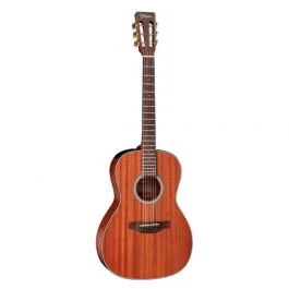 Takamine new yorker elet g series